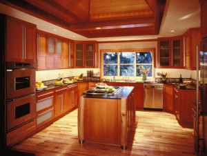 Kitchen, 2001 REX award winner - Associated Craftsman Expertise category Vision Woodworks Inc, custom cabinetry, cabinets, Seattle cabinets, Seattle cabinetry, how to choose cabinetry, Custom Cabinets Seattle, Maple Valley cabinets, Master Builders Associaiton, NKBA, NAHB, kitchen cabinetry, bathroom cabinetry, built-in cabinets, kitchen cabinets, cabinetry, kitchen design, kitchen remodeling, cabinet design, kitchen, REX award, associated craftsman expertise